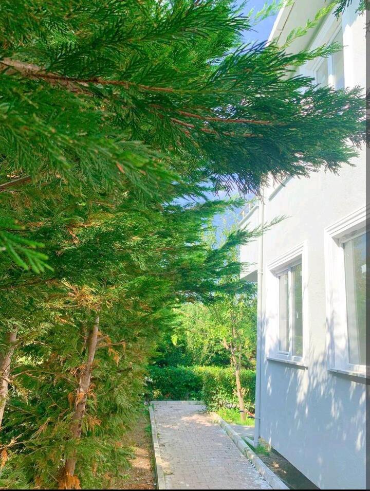 Ahmet Teacher Hotel, 5 Minutes From The Airport Arnavutkoy Екстериор снимка